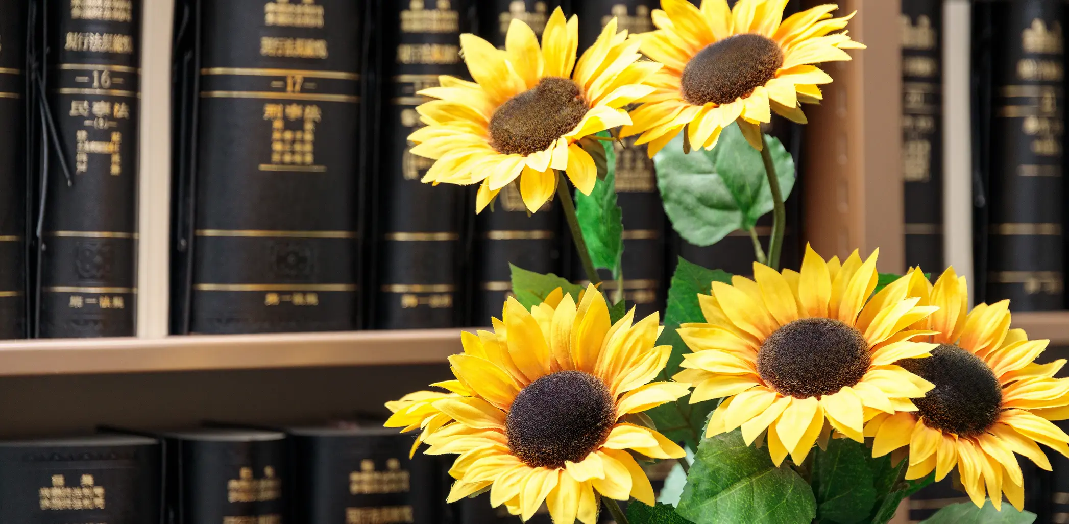 新着情報システムのイメージ